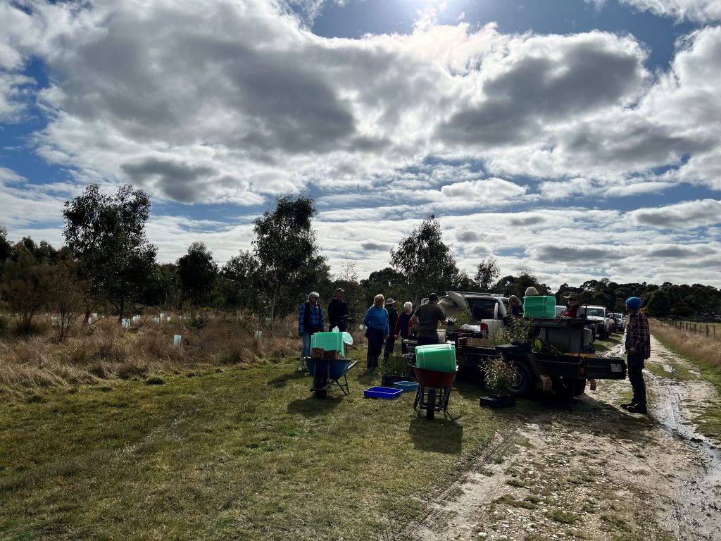Community planting trees in Australian countryside.