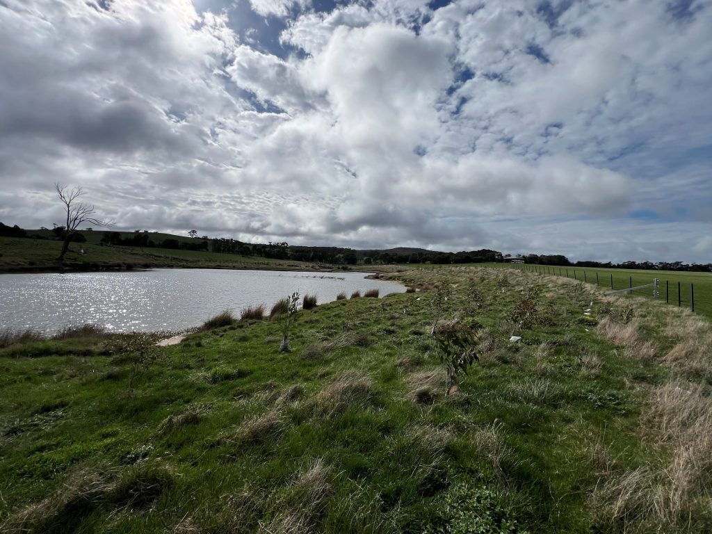 Cloudy sky over a rural grassy pond.