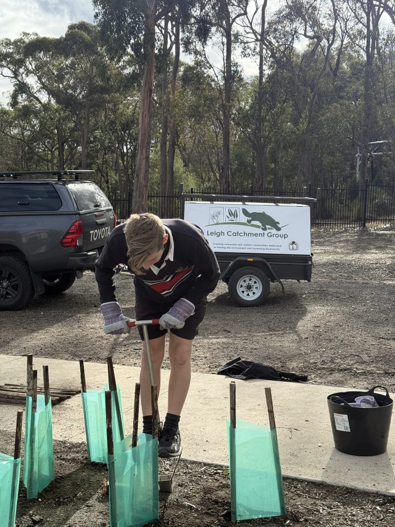 Person planting trees at Leigh Catchment Group event.