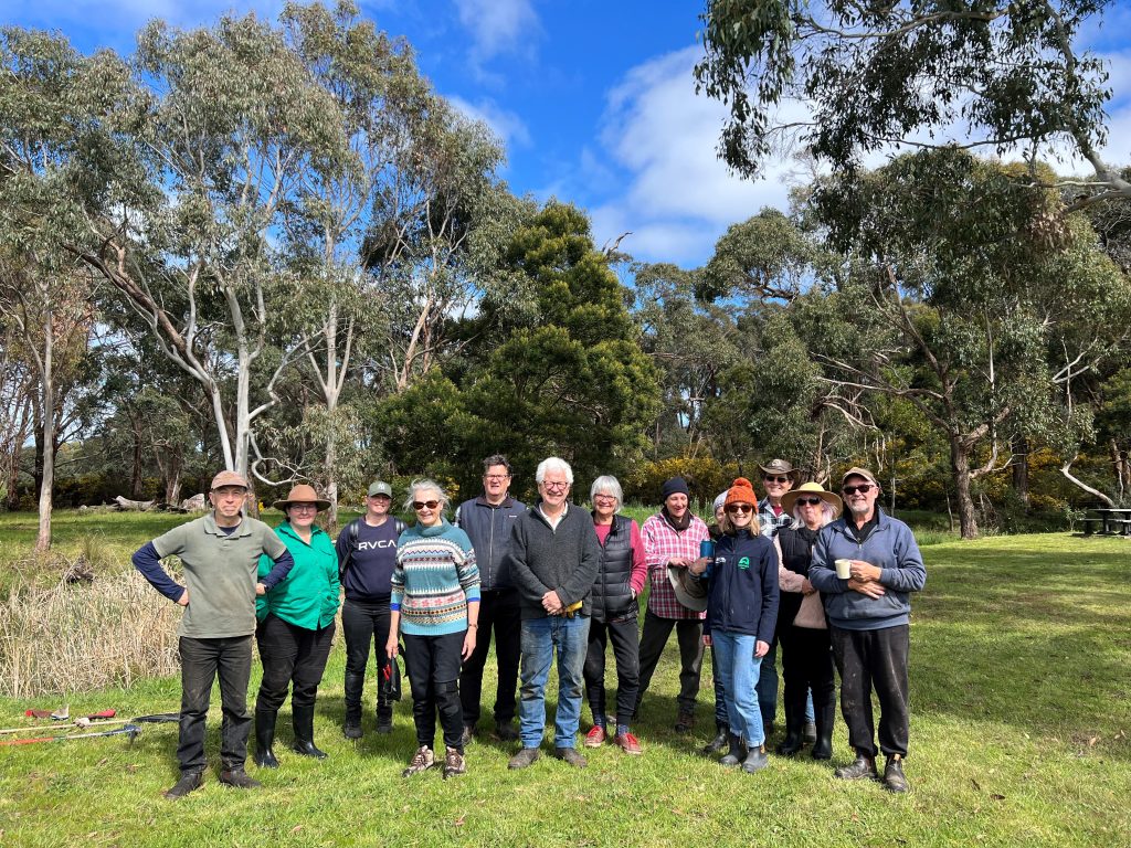 Group enjoying a sunny day in Australian bushland.