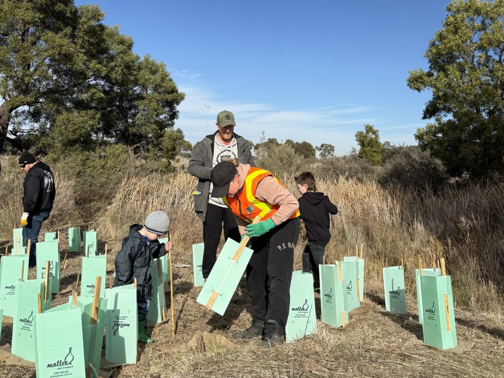 Volunteers planting trees in Australian wildlife reserve.