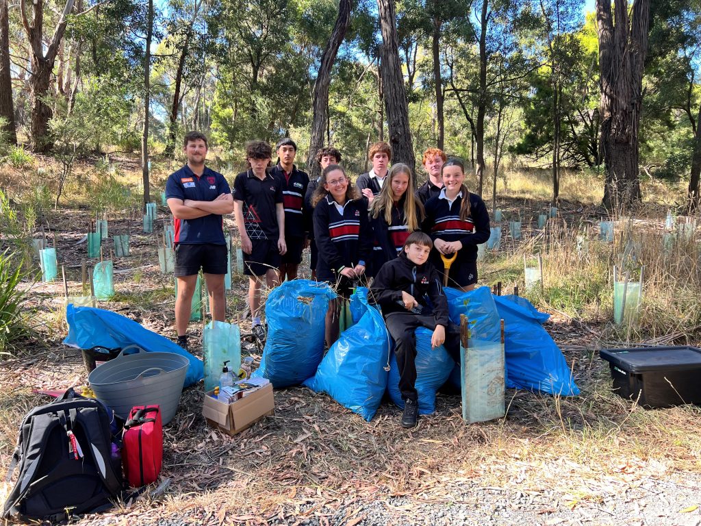 Students participating in tree planting in Australian bushland.