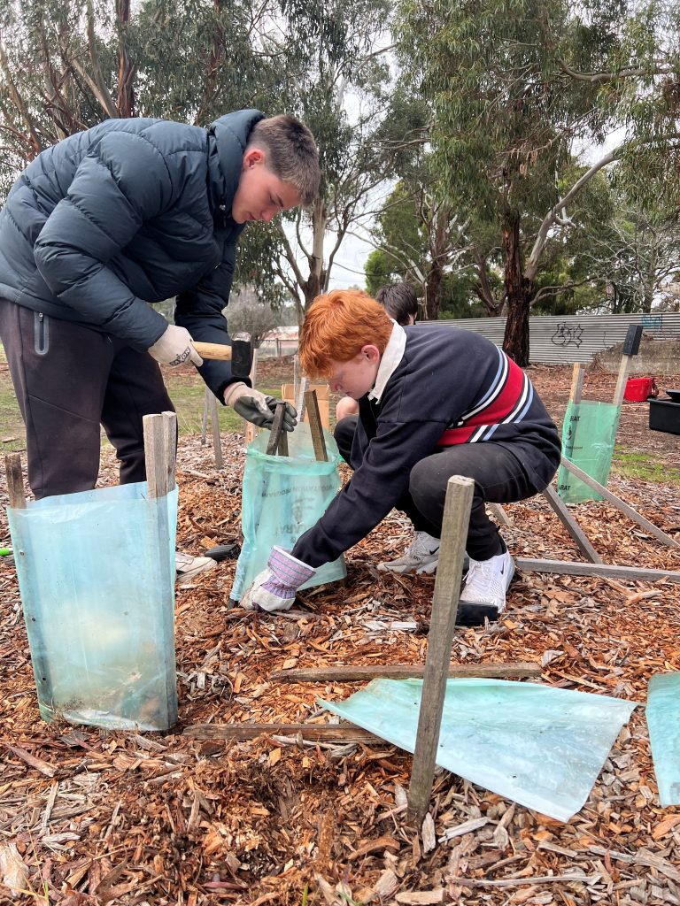 Leigh Catchment Group | Schools Project | SVR MCC Yr9 Volunteer Program_5