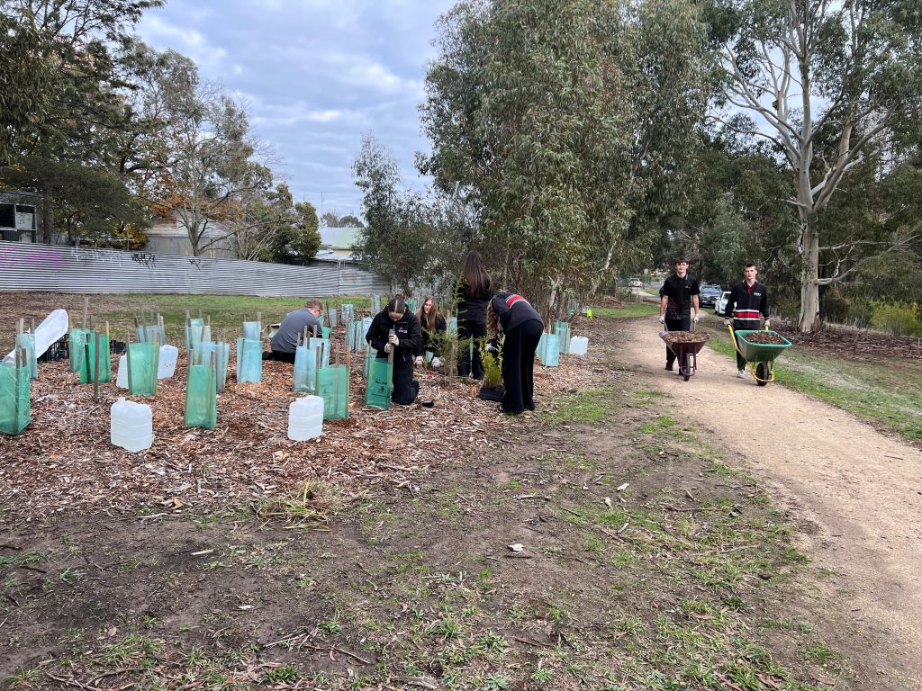 Volunteers planting trees in an outdoor area