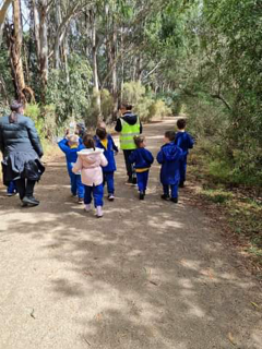 Children walking on a forest trail with adults.